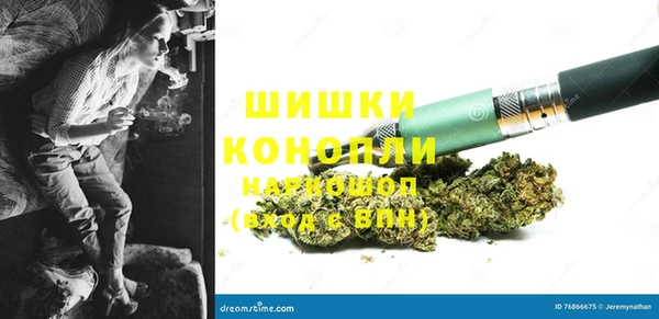 гидропоника Алзамай