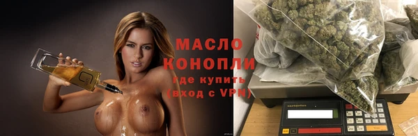 гидропоника Алзамай