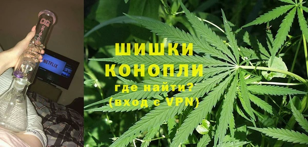 гидропоника Алзамай